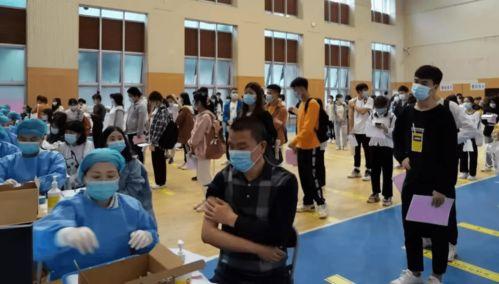 董路油管爆料最新消息,揭秘娱乐圈最新动态  第2张