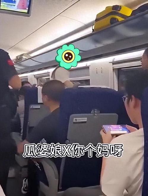 高铁事件最新爆料新闻,揭秘背后惊人真相 第1张 高铁事件最新爆料新闻,揭秘背后惊人真相 第1张